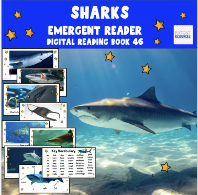 Sharks – Friend or&nbsp;Foe?