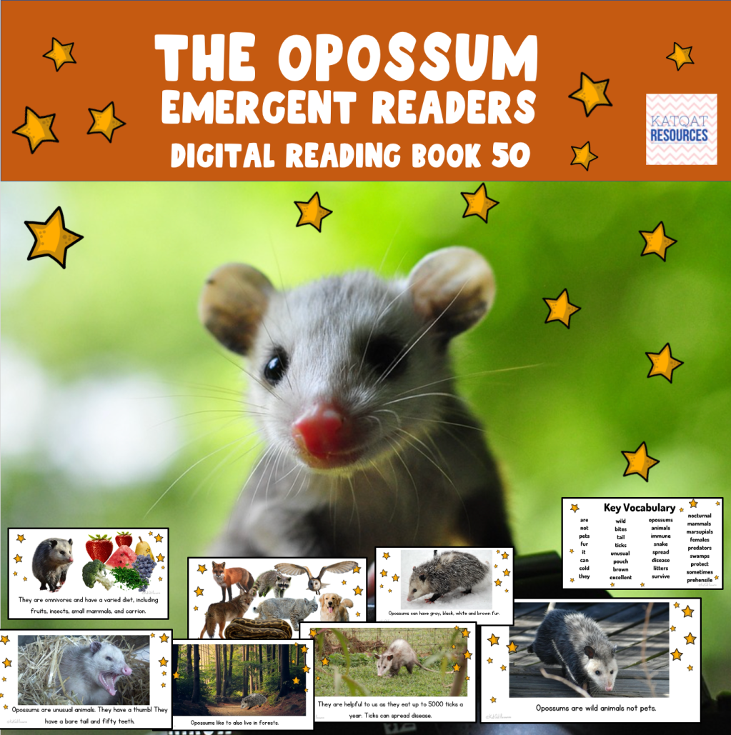 The Opossum